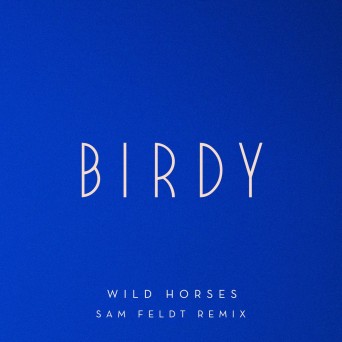Birdy – Wild Horses (Sam Feldt Remix)