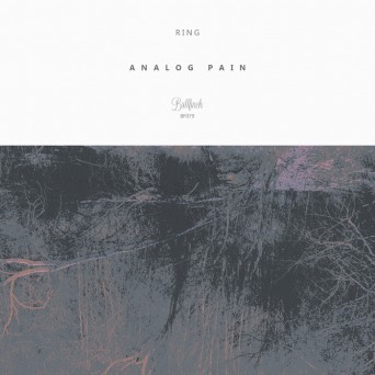 Ring – Analog Pain