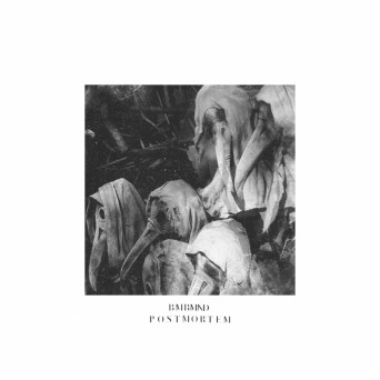 Bambu Mind – Postmortem