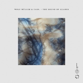 Wolf Muller, Cass. – The Sound Of Glades
