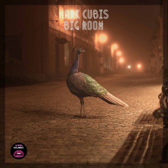 Mark Cubis – Big Room