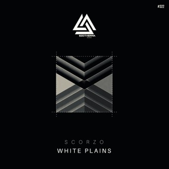 Scorzo – White Plains