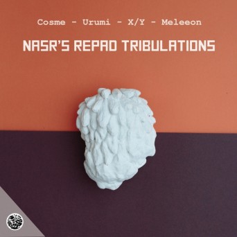 NASR – NASR’s Repad Tribulations