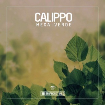 Calippo – Mesa Verde
