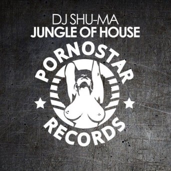 DJ Shu-Ma – Jungle Of Love