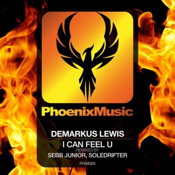Demarkus Lewis – I Can Feel U (Remixes)