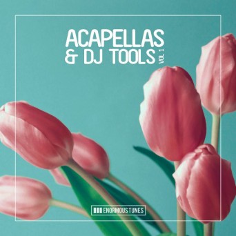 Enormous Tunes – Acapellas & DJ Tools, Vol. 1