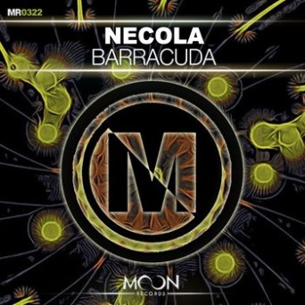 Necola – Barracuda