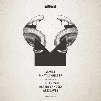 Samu.l – What Is What EP