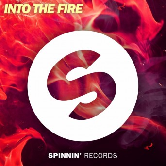VINAI feat. Anjulie – Into The Fire