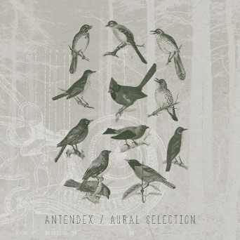 Antendex – Aural Selection
