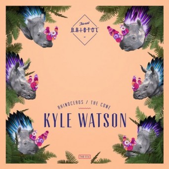 Kyle Watson – Rhinoceros, The Cone