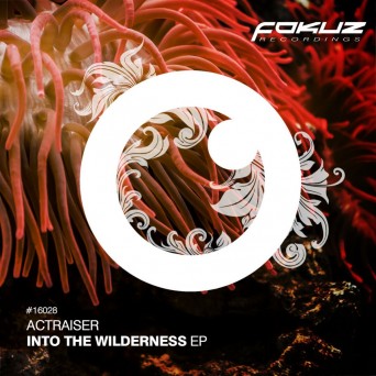 Actraiser – Into The Wilderness