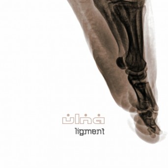 Ulna – Ligment