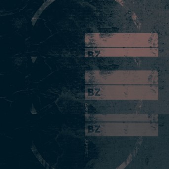 Brickzone – Affect