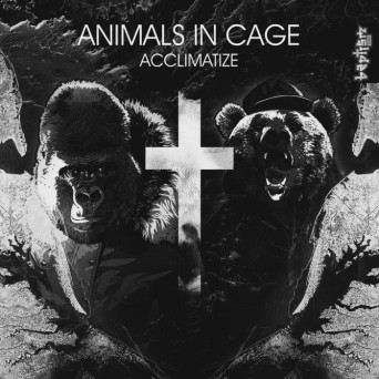 Animals in Cage – Acclimatize