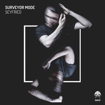 Surveyor Mode – Seyfried