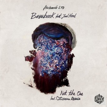 Bambook feat. Joel Hood – Not The One