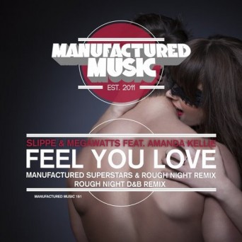 Slippe & Megawatys feat. Amanda Kellie – Feel You Love