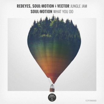 Soul:Motion – Jungle Jam / What You Do