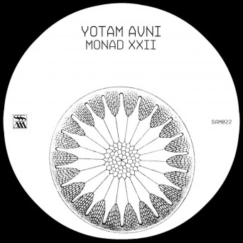Yotam Avni – Monad XXII