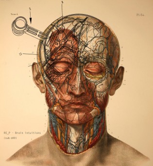 RE_P – Brain intuitions EP
