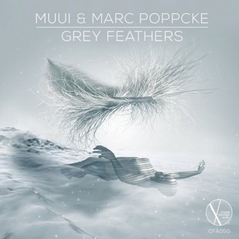 Marc Poppcke & MUUI – Grey Feathers