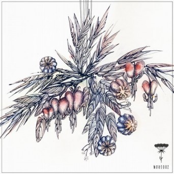Marco Tegui – Acid Rain