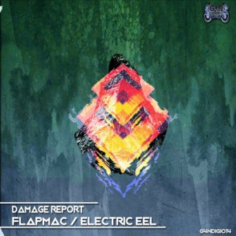 Damage Report – Flapmac / Electric Eel