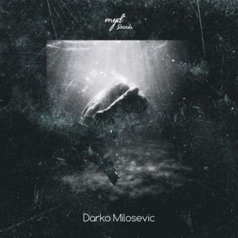 Darko Milosevic – Toroidal Flow EP