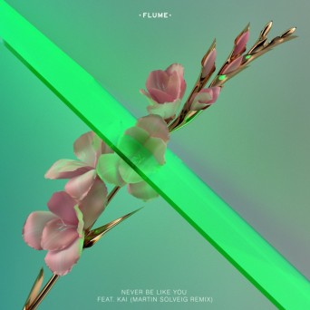 Flume feat. Kai – Never Be Like You (Martin Solveig Remix)