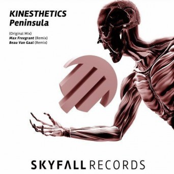 Kinesthetics – Peninsula