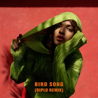 M.I.A. – Bird Song (Diplo Remix)