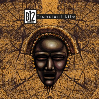 B12 – Transient Life