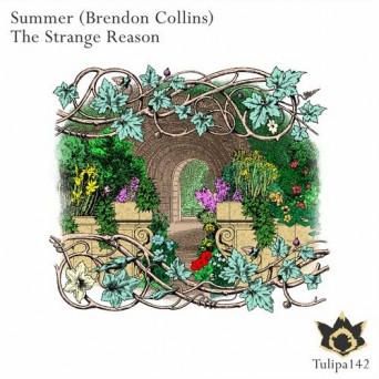 Summer (Brendon Collins) – The Strange Reason
