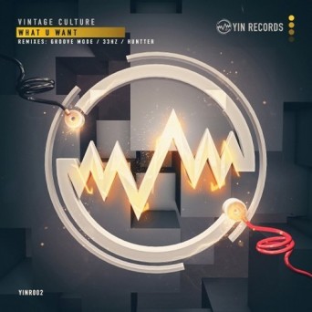 Vintage Culture – What U Want EP (Remixes)