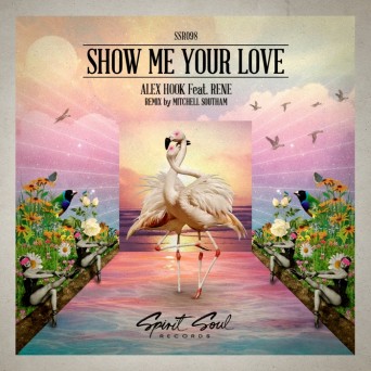 Alex Hook feat. Rene – Show Me Your Love