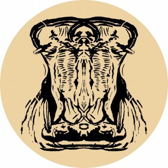 Marion Poncet – Chineurs De House: Chasing Da Hippo