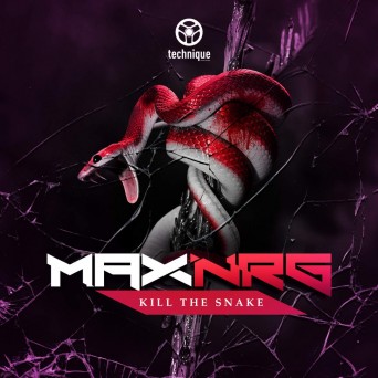 MaxNRG – Kill the Snake