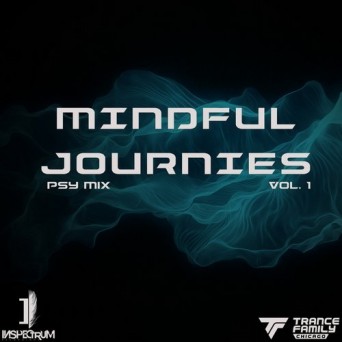 Inspectrum Recordings: Mindful Journies Vol. 1