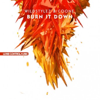 Wildstylez & Coone – Burn It Down