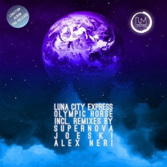 Luna City Express, Aaron Palmer – Olympic Horse