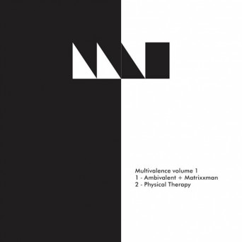 Multivalence Vol. 1