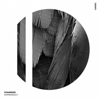 Somersault – Stampede