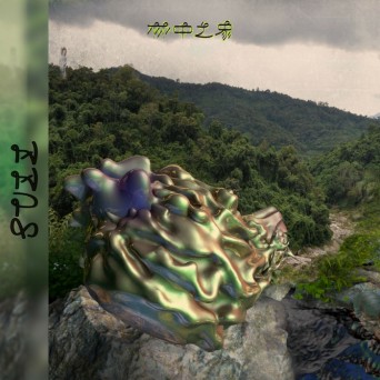 Guzz – An Elephant In The Jungle