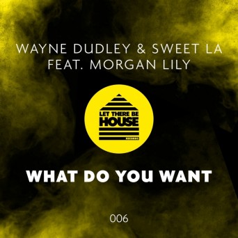 Seeb – What Do You Love (feat. Jacob Banks)