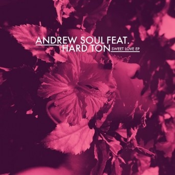 Andrew Soul, Hard Ton – Sweet Love