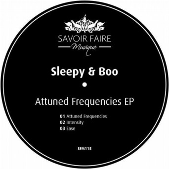 Sleepy & Boo – Attuned Frequencies