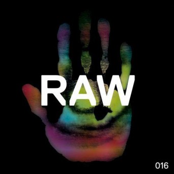Rob Hes – Raw 016