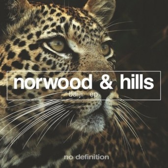 Norwood & Hills – Baiji EP